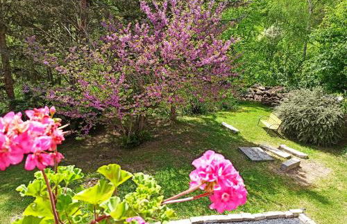 Les Apparts du Vignal de Cheyrac - Foto 2