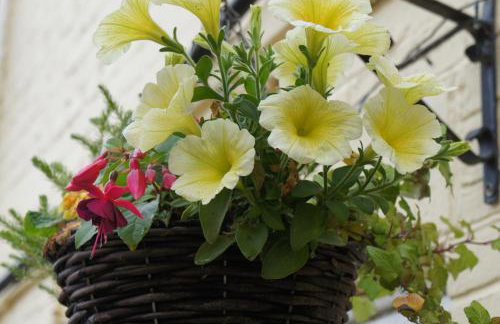 No. 4 Smith Cottages - Foto 15