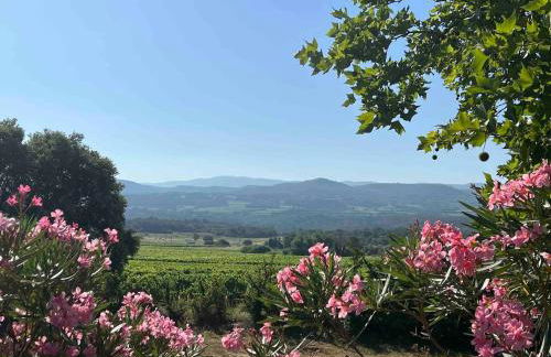 Proche Roussillon, La villa rouge Luberon, piscine chauffée, climatisation et vue Luberon - Foto 31