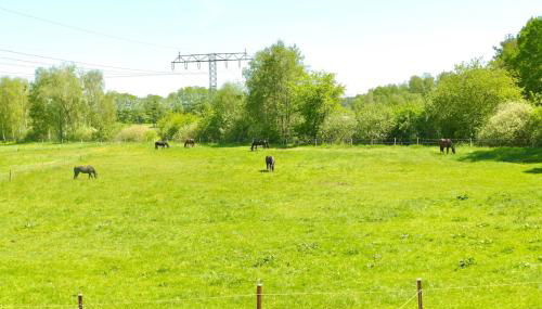 Stallgeflüster Lodge - Foto 5