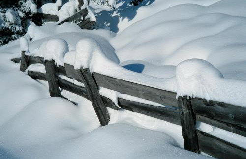 Residence Flora - Photo 20