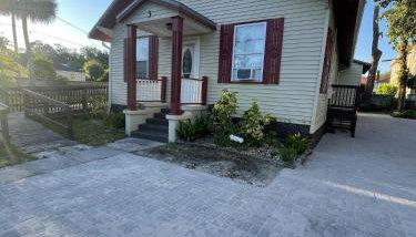 Little Carnation - Foto 2