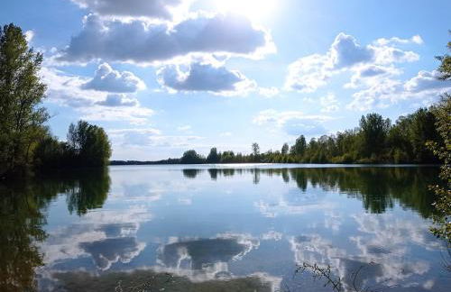 Les Charmes du Lac Gite Romantique avec jacuzzi privatif - Foto 34