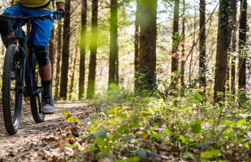 Waldklang - Refugio - Hund - Zaun - Smart - Foto 34