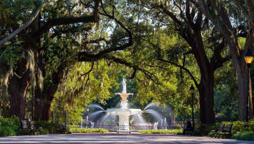 Anderson Place - Foto 5