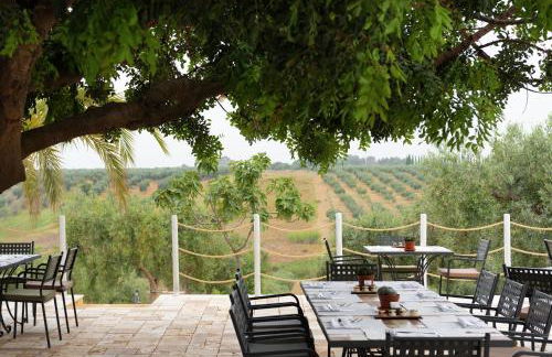 Momentum Wellness Bioresort - Foto 48