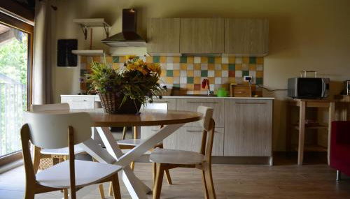 Agriturismo Ca Roer appartamento 4 - Foto 4, stove