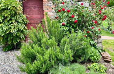 Casale Collecchio Siena - Foto 33