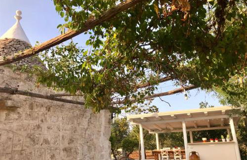 Trulli Storie di Puglia - Private Pool - Foto 24