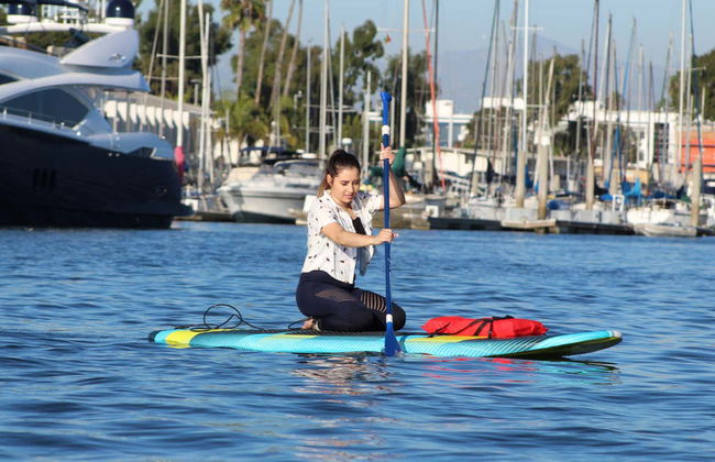 Paddle surf avec des otaries à Marina del Rey - Photo 1