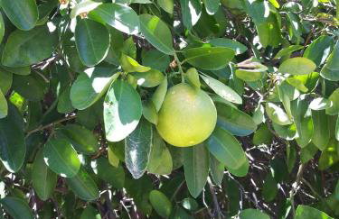 CASA Allegro - Active Vacationers Paradise - Foto 72