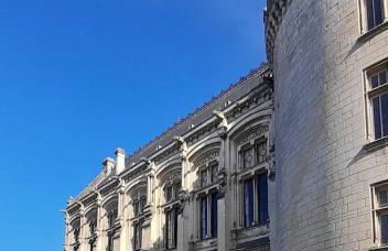 Le Cerf au Bois Dormant - Foto 11