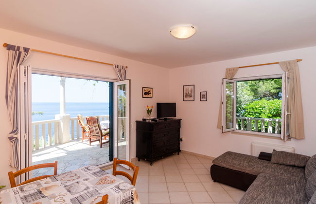 Plavac Mali - Photo 7