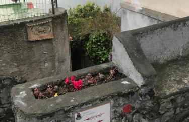 Maison Rosa - Foto 58