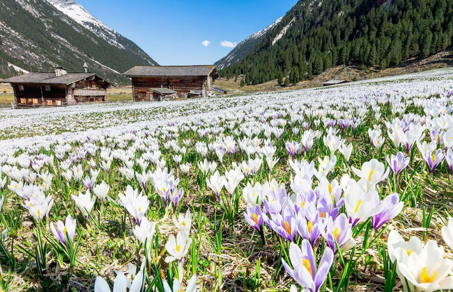 Chalet Hochkrimml With Sauna on the ski Slope - Foto 34