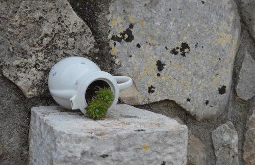 Mama Residence - Photo 20