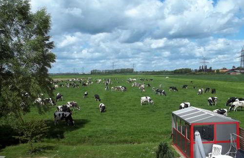 Ferienwohnung Berne - Photo 7