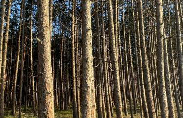 Apartamenty nad morzem Przy klifie 3 Dębina - Foto 54