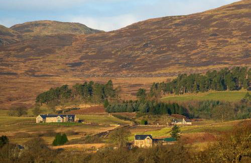 Pigeon Cottage - Luxury country steading - Photo 16