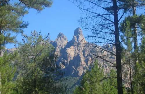 Villa avec vue sur la mer à Sari-Solenzara, piscine privée - Foto 23