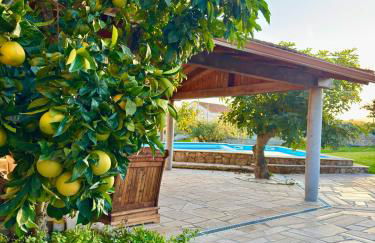 Quinta do Nobre - Foto 12