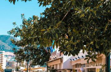 Luxury beachfront apartment with pool, sauna, fitness and gym in province Malaga, Andalusia - Photo 25