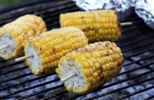 Snipe - Bleasdale - Foto 28