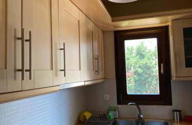 Georges Villa Galaxidi, family, pool and garden - Foto 66