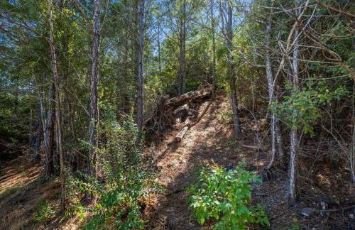 Modern Cabin Nestled in a Pine Forest Near Austin - Foto 55