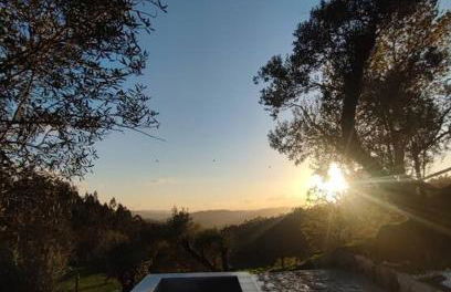 Cantinho da Pereira - Foto 13