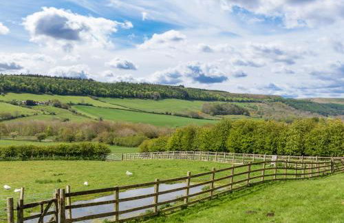 Foxglove - Uk51200 - Foto 25