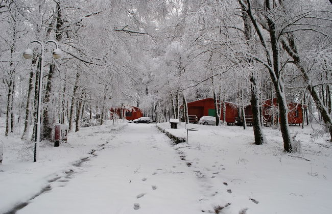 Bungalows da Peneda - Foto 17