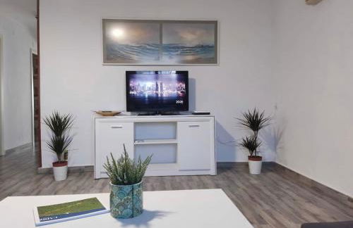 las camelias - Foto 23