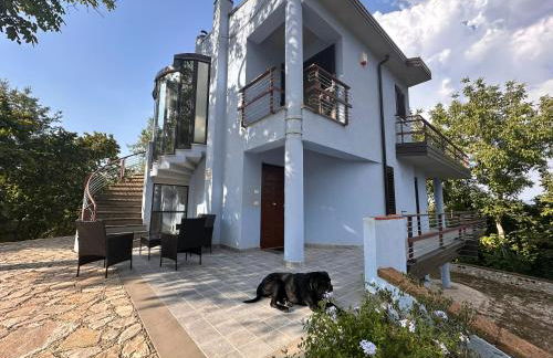 La Terrazza delle Noci - alloggio agrituristico - Foto 37