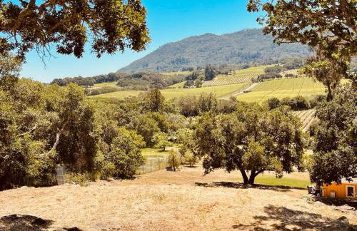 Casa Molino - A private escape with Vineyard views - Foto 75