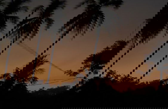 Paradise Bay - Foto 55