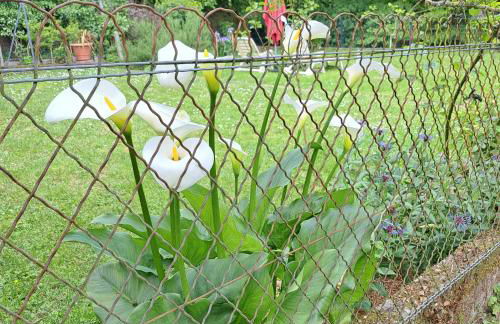 Maison de Preuillé - Foto 6