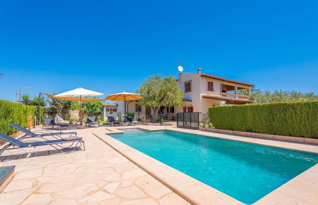 Els Xiprers in Porreres - Foto 1