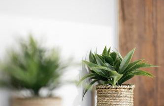 Spacious 3-bedroom apartment with WiFi, AC in charming Kalamaria - mountain view - Foto 39