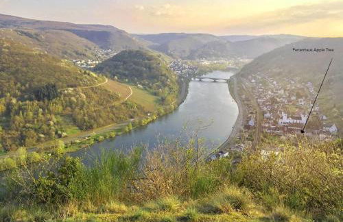 Holiday home in Mosel with 3 bedrooms - Foto 46