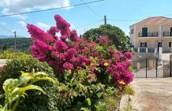 Traditional House - Foto 40