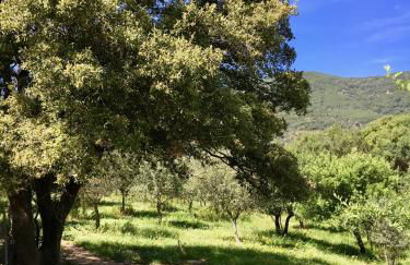 Agriturismo Asara - Foto 16