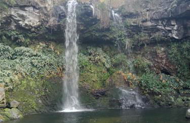 Basaltic House Pedreira - Photo 16