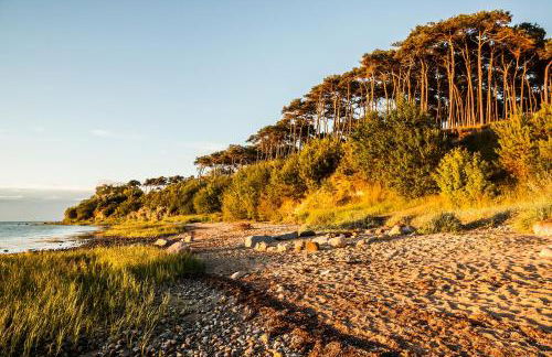 Villa DUXCAAR - Foto 43