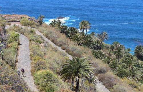 HolidaynorthTenerife Exotic Apartament - Foto 36