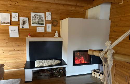 Blockbohlen HolzHaus mit Sauna, Outdoor Jacuzzi und BadeTeich - Foto 54