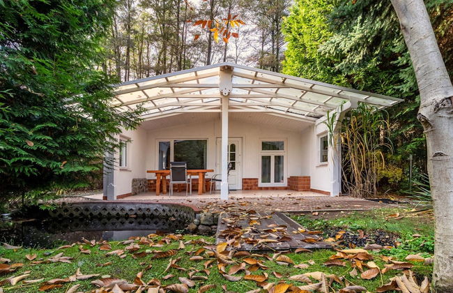 Ferienhaus am Wockersee in Parchim - Foto 11