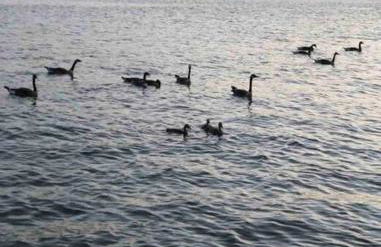 LUMU Lake House - Foto 28