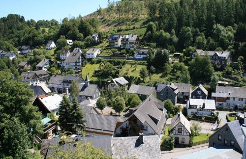 Ferienwohnung bei Willingen mit Terrasse - Photo 32