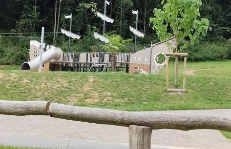 YALET Ferienhaus 2 appartementen vlakbij Willingen - Foto 51